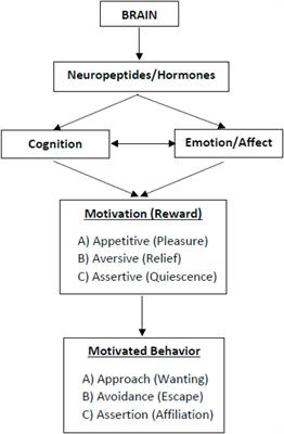 Understanding health behavior change by motivation and reward mechanisms: a review of the literature